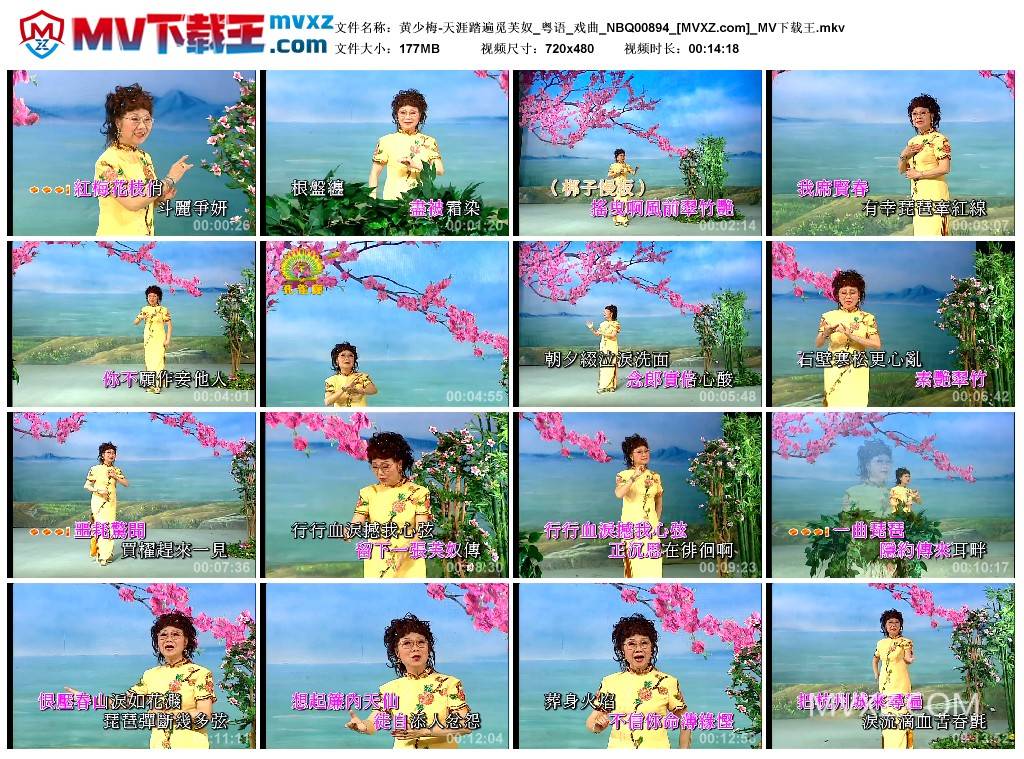 黄少梅-天涯踏遍觅芙奴_粤语_戏曲_NBQ00894